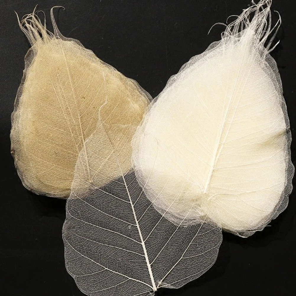 2Pcs Tea Strainer A… - image