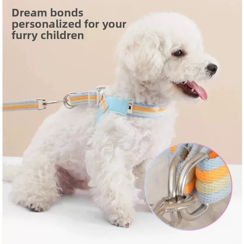 Iridescent Color-Block Dog Collar & Comfort Dog Harness Vest Pet Leash for Small Medium Dogs Outdoor Pet Walking Accessories