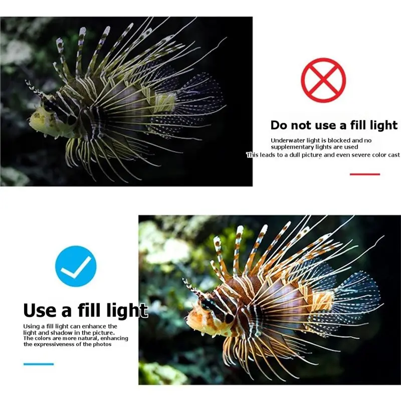 40 Meters Waterproof Underwater LED Video Fill Light Type C Fast Charging Diving Lighting Accessory For Underwater Photography