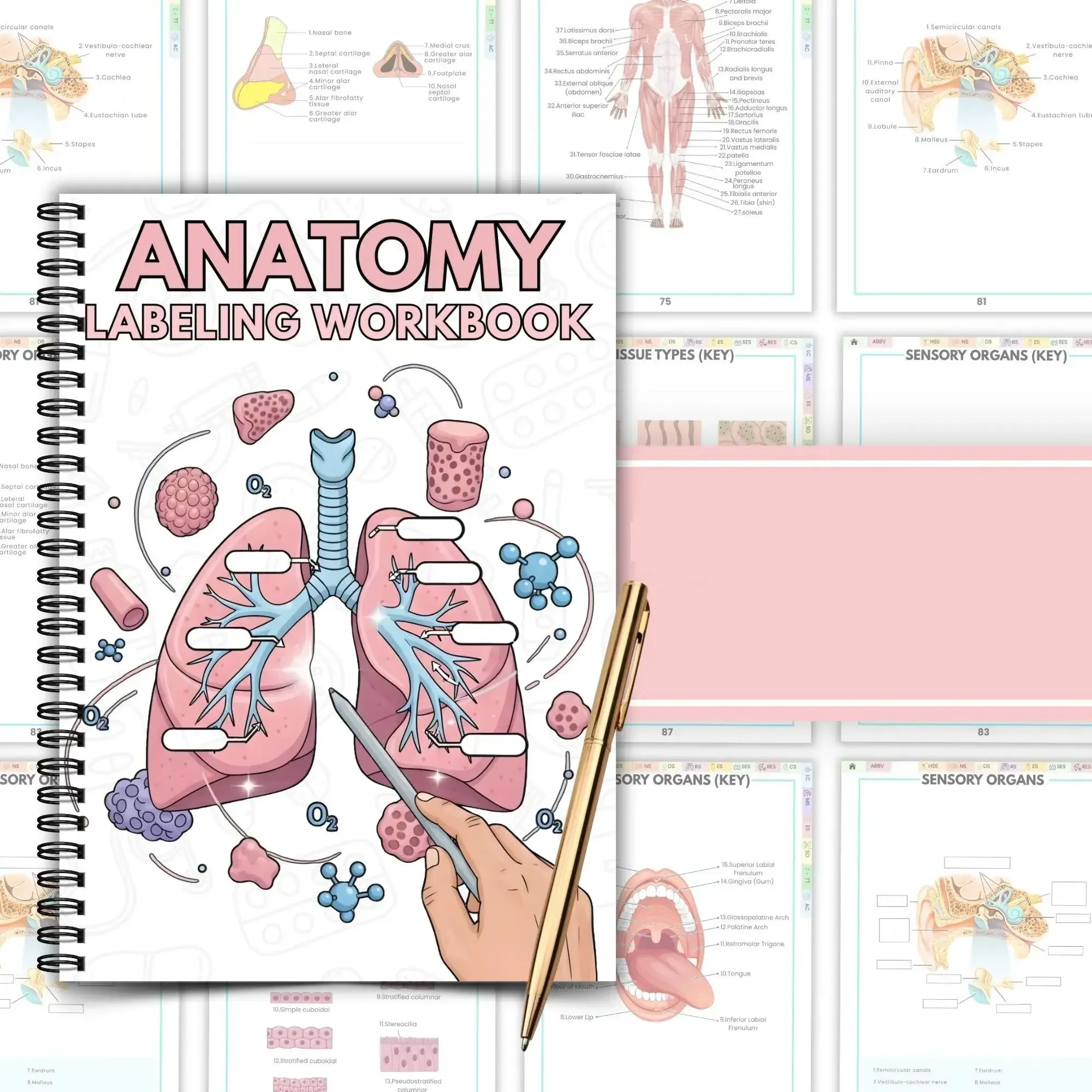 Human Anatomy Annotation Workbook, Nursing Student Study Guide with Visual Anatomy Exercises & Learning Practice Pages