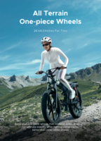 ENGWE X26 All Terrain Electric Bike 48V29.2AH Dual Battery 1000W 26\