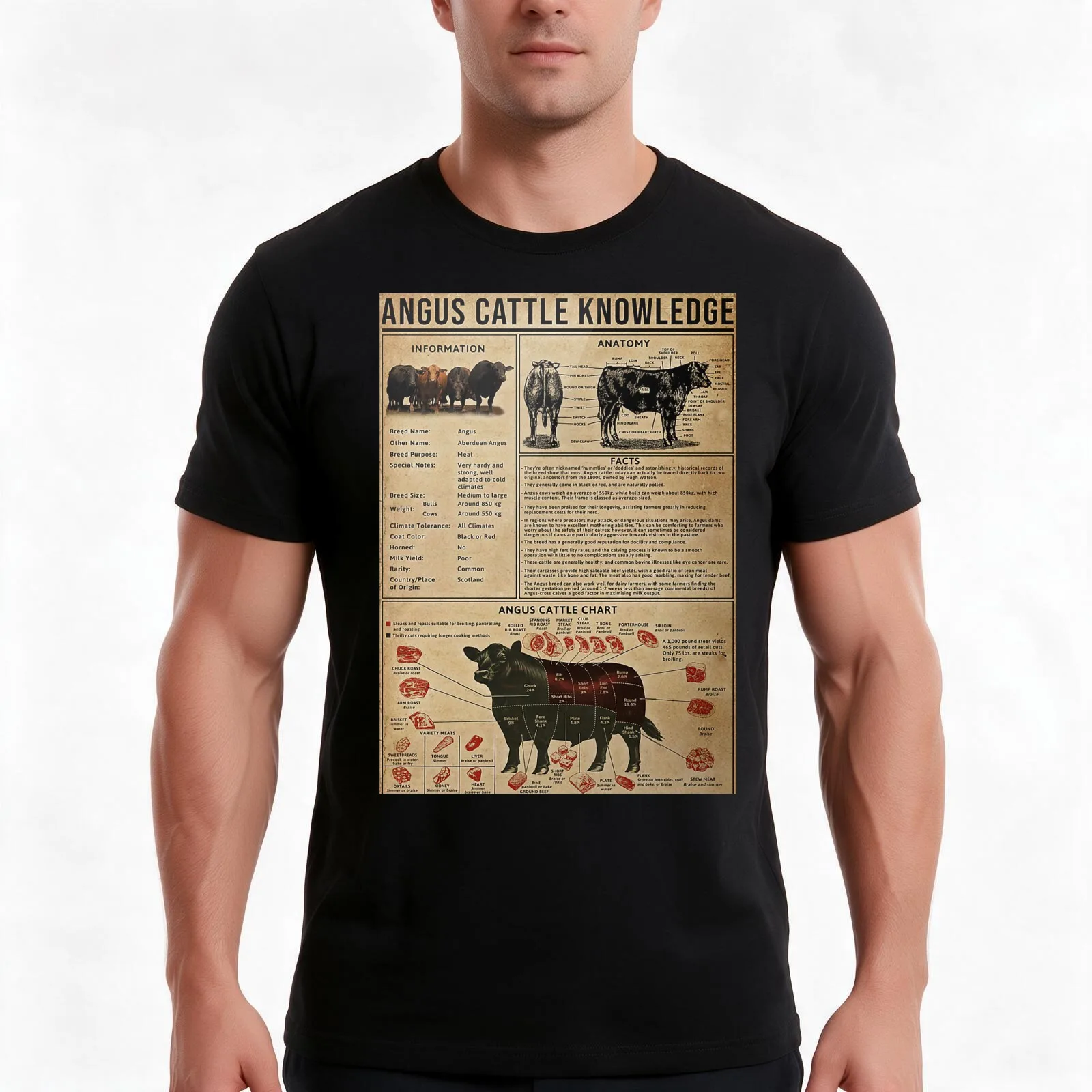 Angus Cattle Knowledge Poster T-Shirt, Summer Casual Cotton Tee, Oversized Streetwear Tops, Vintage Graphic Print, 100% Cotton
