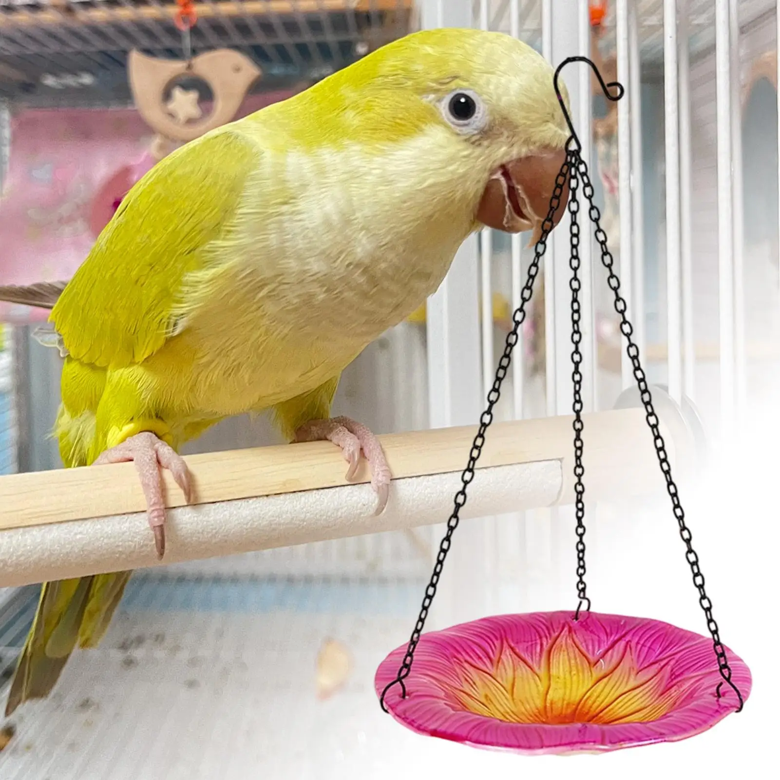 

Bird Bath Bowl 8 Inches Flower Shape Decorative Bird Baths For Lawn Backyard Patio Wildlife Outdoor Yard Balcony Nature