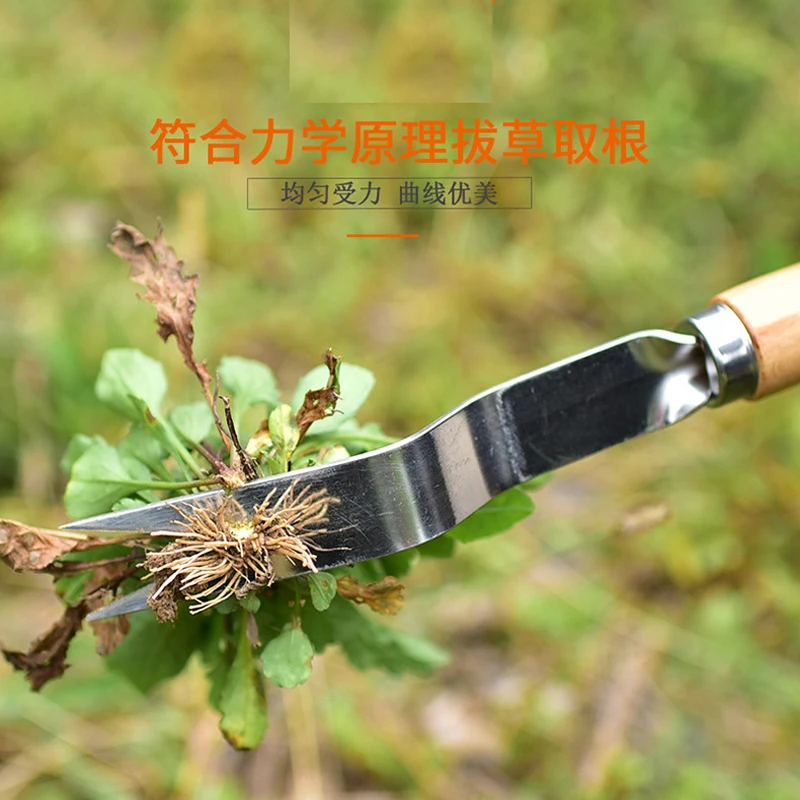 Wood Handle Stainless Steel Garden Weeder Hand Weeding Removal Cutter Dandelion Puller Tools Multifunction Weeder Transplant