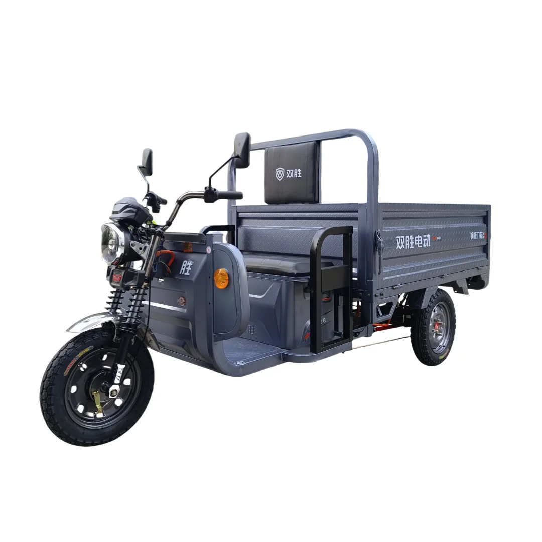 Trycicle Vehicle Cargo Truck Electric Tricycl Electric Tricycles E Rickshaw Delivery Tricycle For Adults