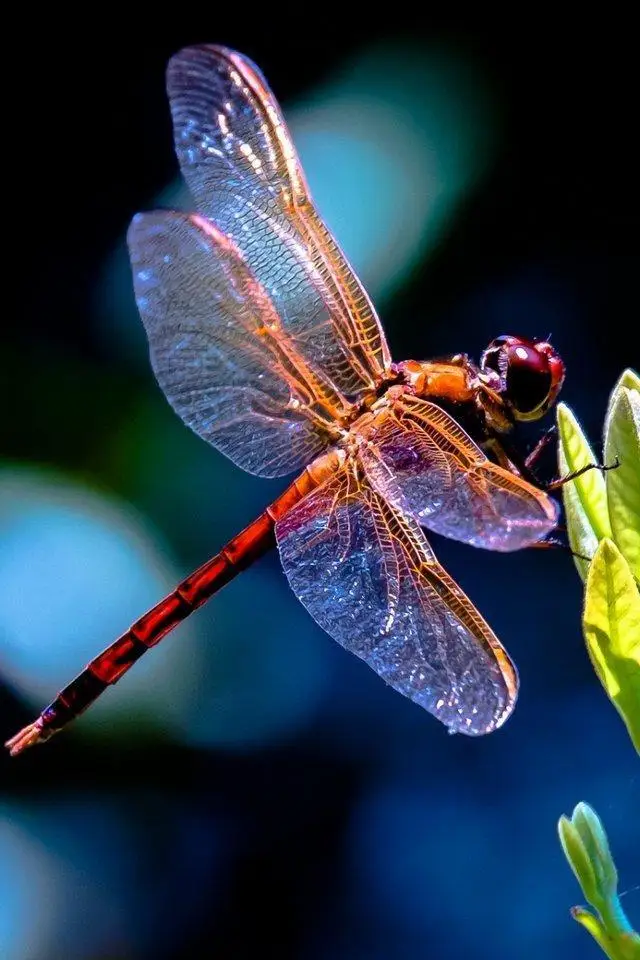 1/10 RC Racing Car Wheels Rally Tyre & On Road Tires 12mm Hex for Tamiya XV01 XV02 TA06 TT01 TT02 PTG2 144001 A959 HPI