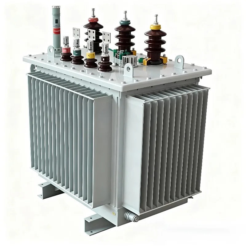 Silicon Steel Core S21 Oil Immersed Distribution Transformer 10kV 11kV 400V Customized Electrical Equipment