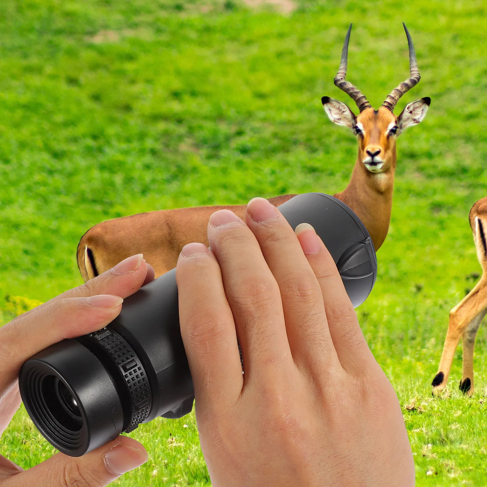 

Night Vision Monocular Portable Compact High Definition Remote Control Telescope for Hiking Bird Watching Hunting Camping Travel