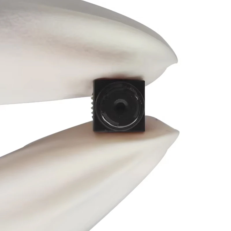 Sincere First Mini …