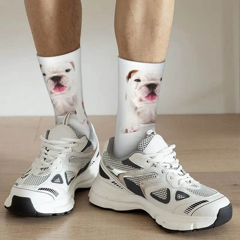 Leuke Bulldog Puppy Mannen Vrouwen Crew Sokken Unisex Mode 3D Print Britse Hond Minnaar Jurk Sokken