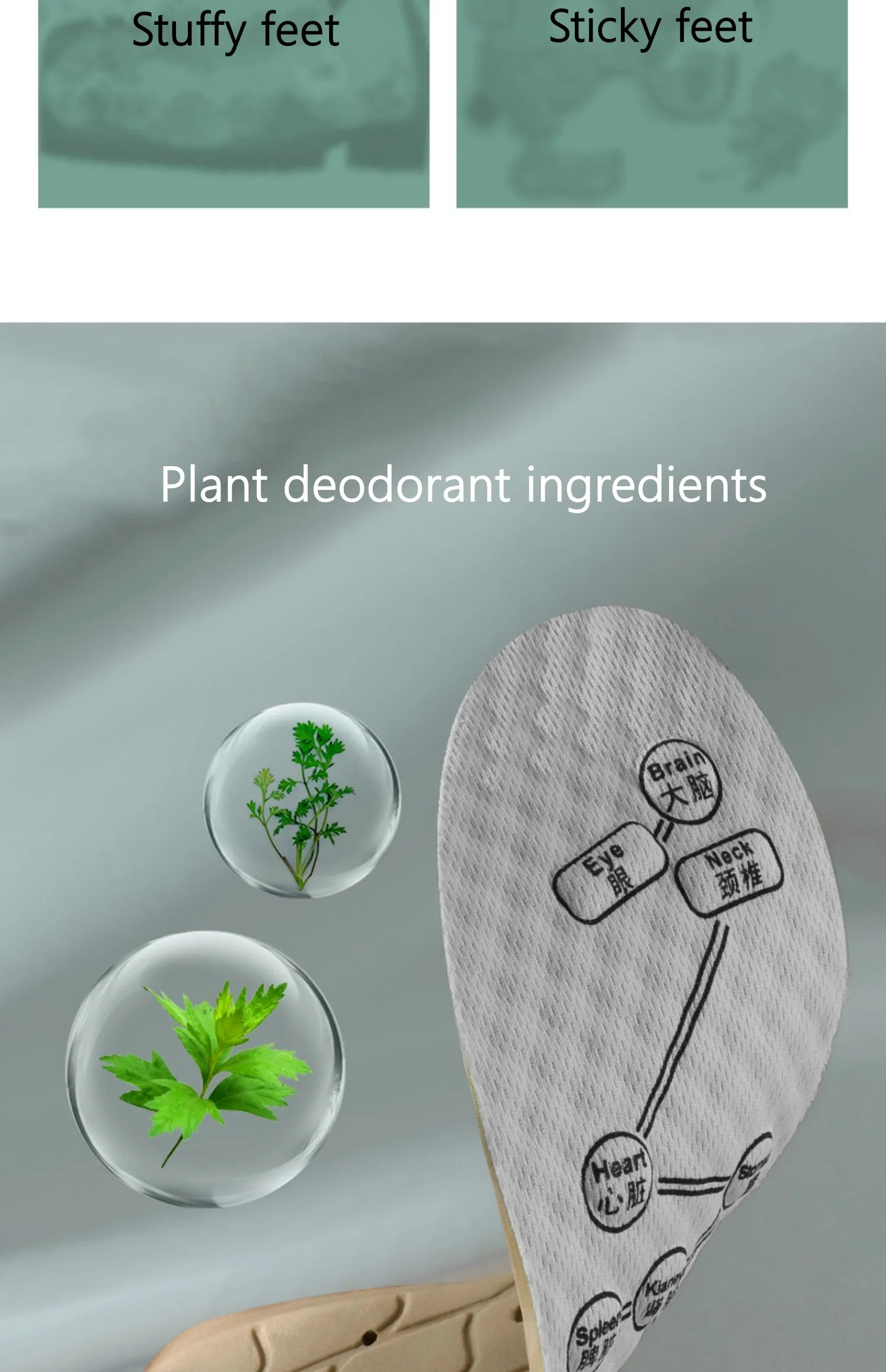 Deodorant Gesunde Einlegesohlen für Schuhe Massage Akupunkturpunkte Arch Support Plantarfasziitis Vorlage Einlegesohle Männer Frauen Schuhsohle Pads – Detail 5