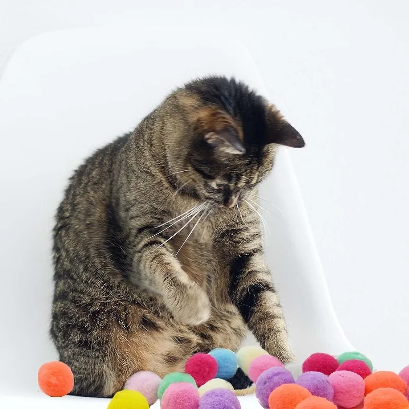 Katze Spielzeug Ball Interaktive Start Training Spielzeug Für Haustier Welpen Hund Kätzchen Kreative Mini Schießen Pistole Spiele Stretch Plüsch Ball Spielzeug – Detail 8