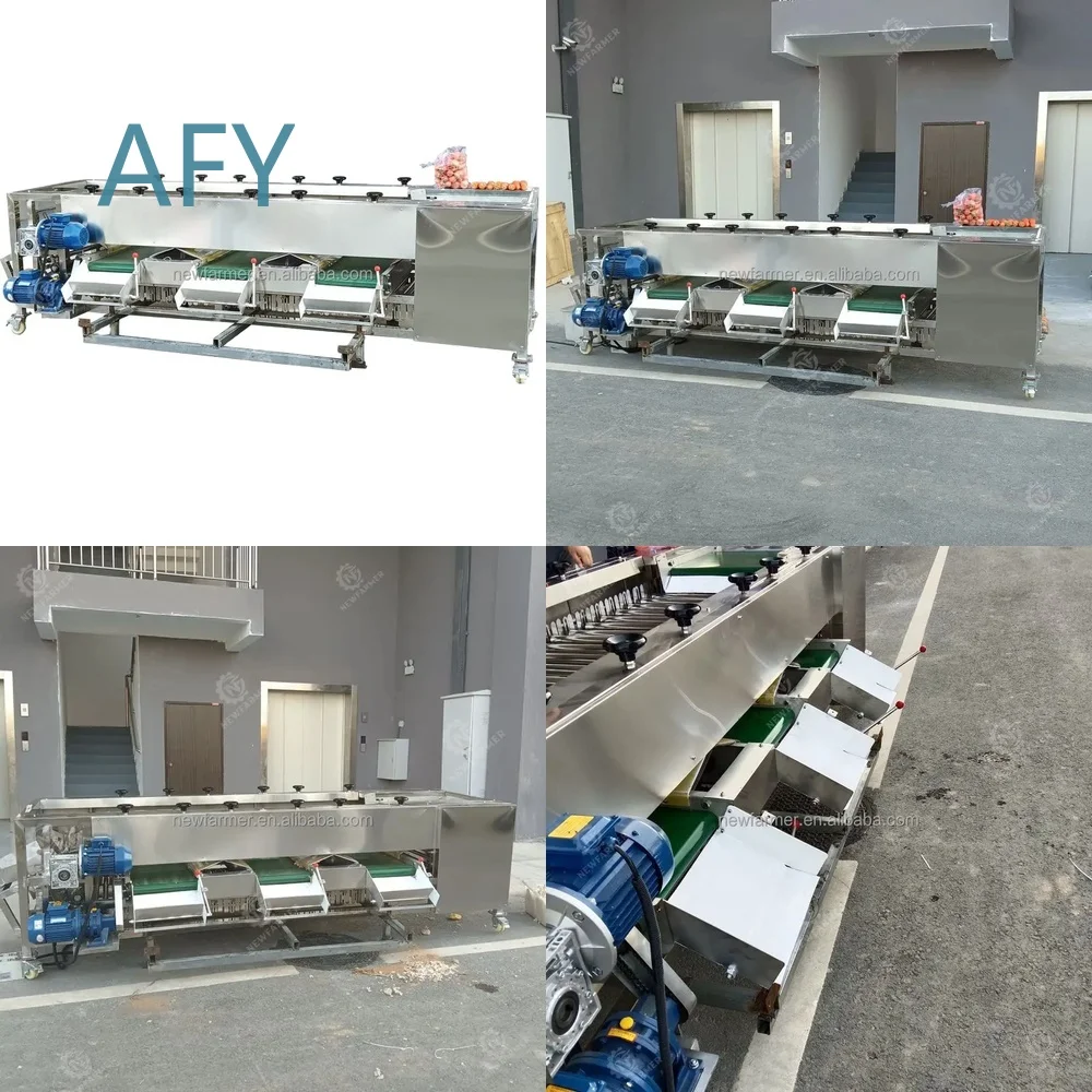 Tomato Size Sorting Roller Grading Machine for Agricultural Processing Equipment Fruit Vegetable Sorting Machinery Industrial