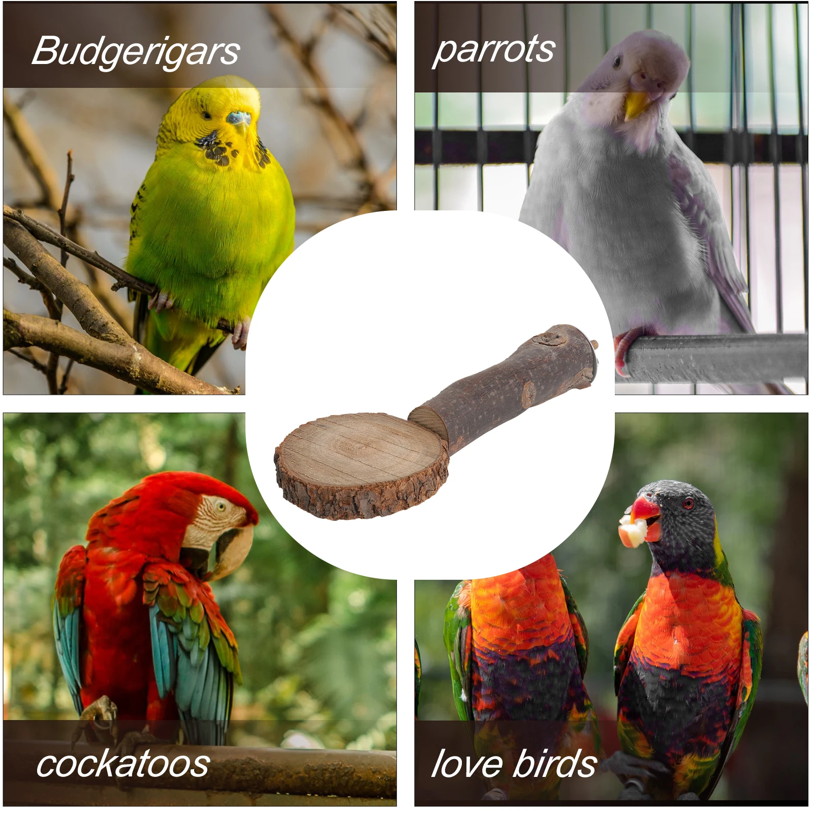 

Parrot Platform Pet Bird Standing Gangplank Practical Pole Wood Supplies Birds