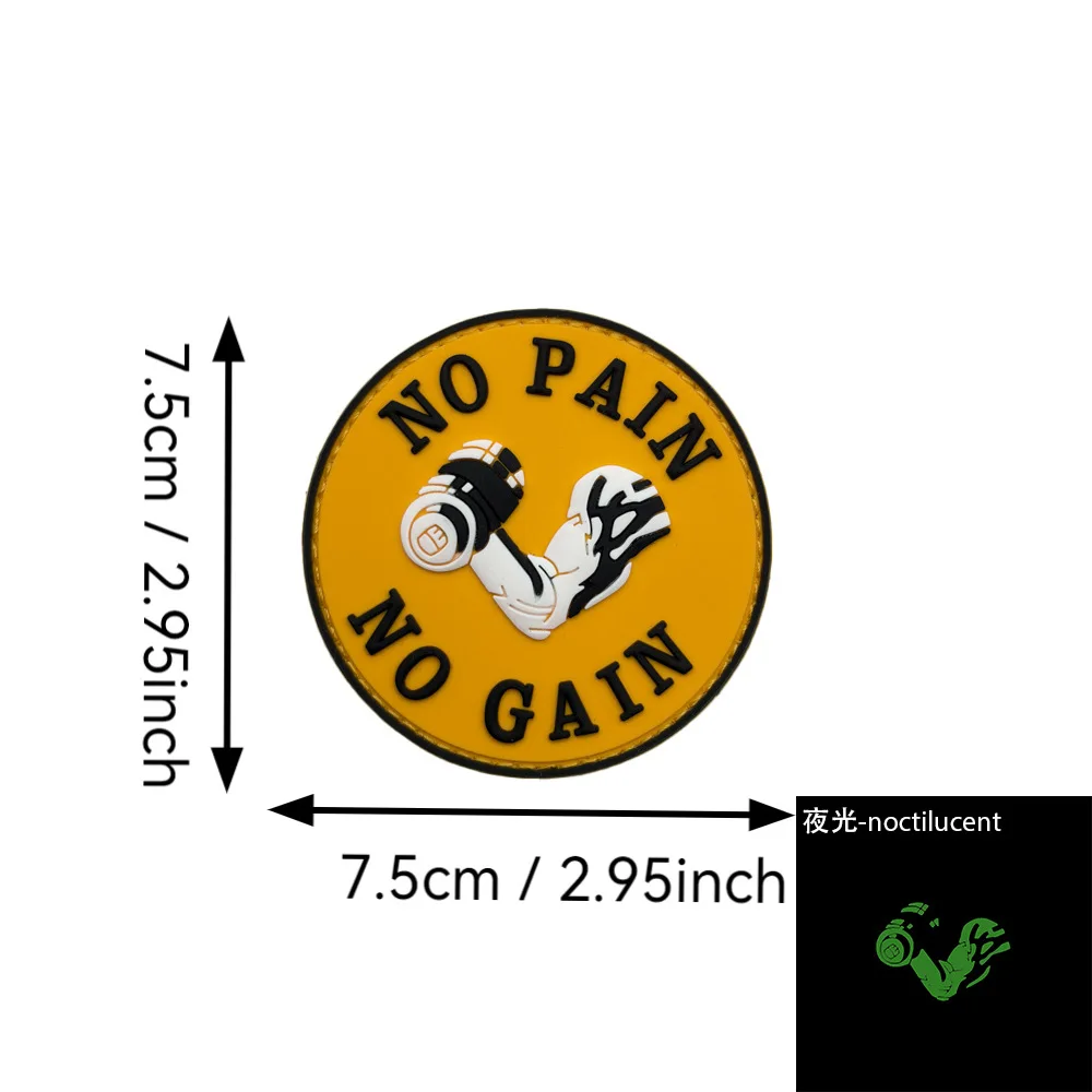 Fitness Party's Intrinsic Motivation PVC Patch No Pain No Gain 