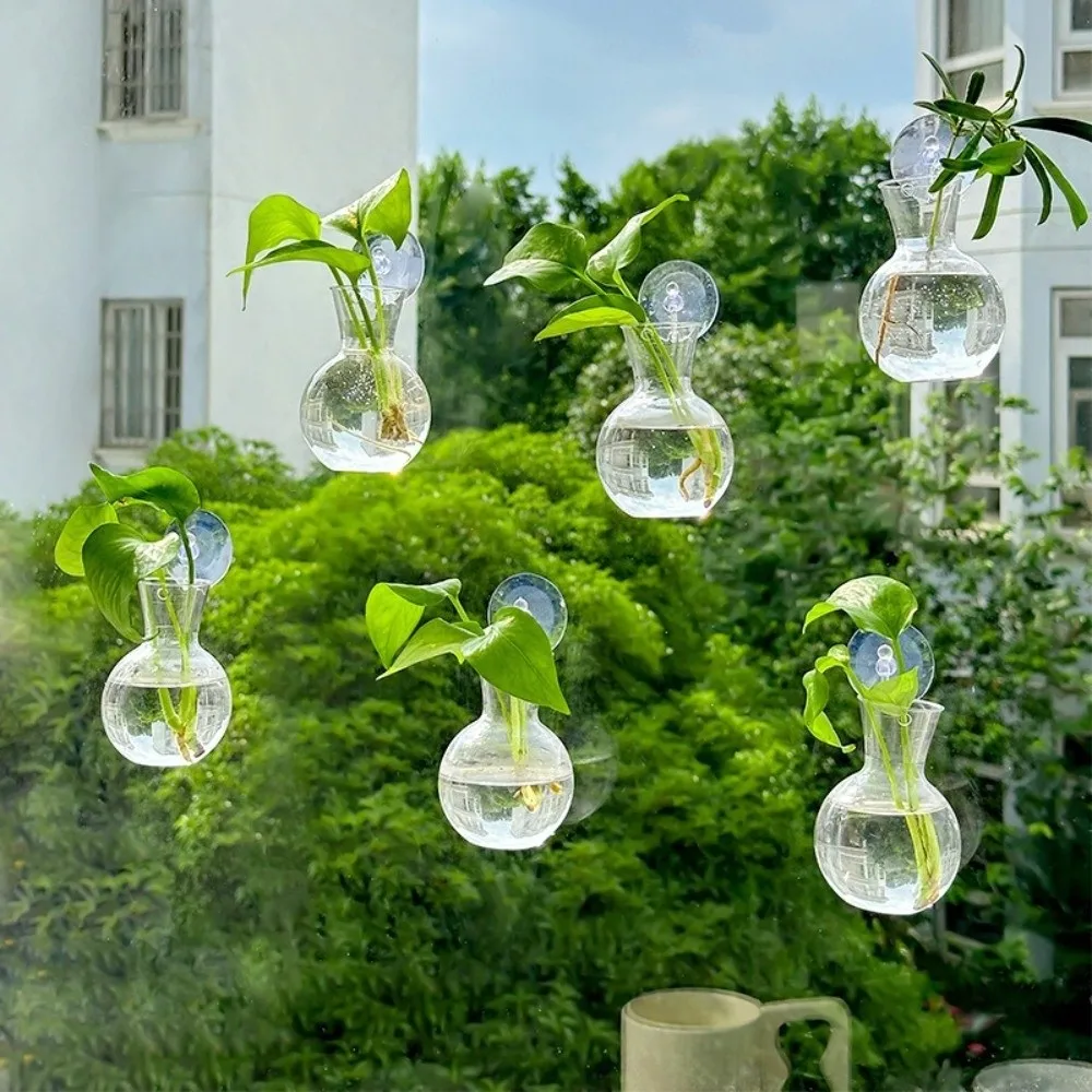 Juego de 4 Jarrones Transparentes de Pared con Ventosas, Autorregantes, para Plantas Hidropónicas, Botellas para Tallos de Plantas