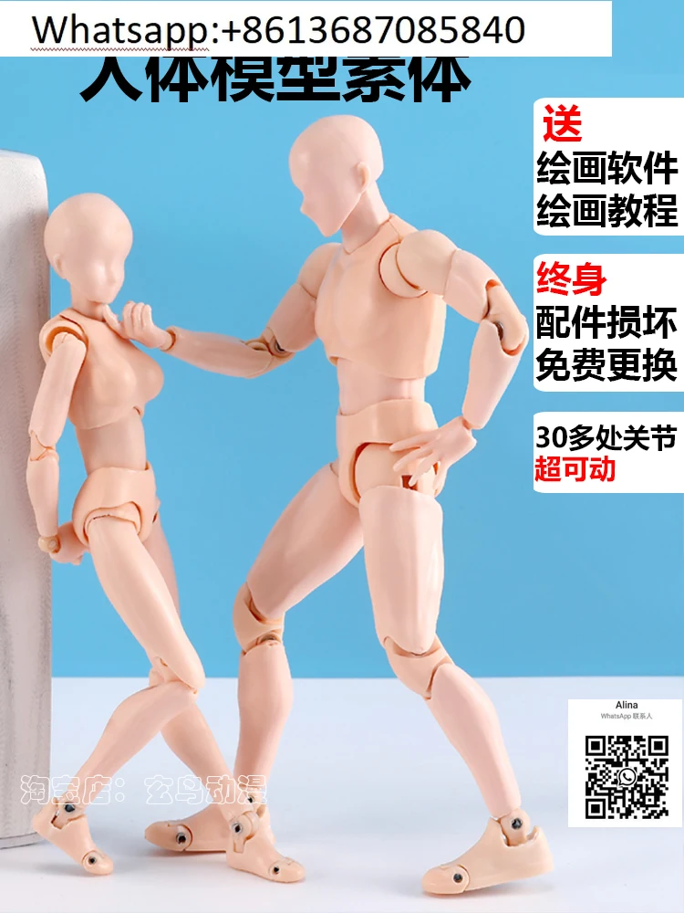 

The whole body joint is moving, the body is male and female, the comic mannequin