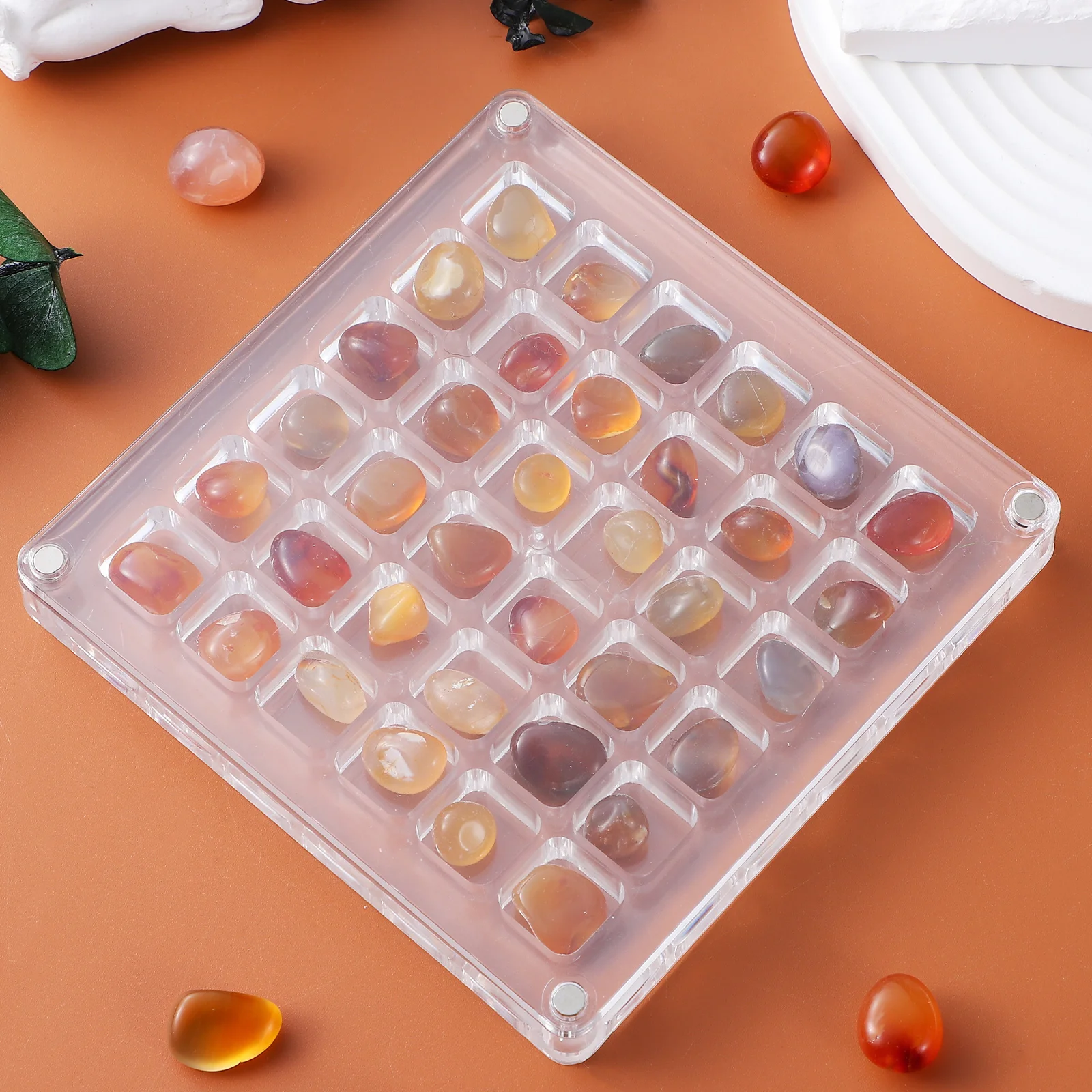 

36 Grids Clear Acrylic Display Case For Shells Trinkets Rocks Storage Box Transparent Seashell Holder Dust-Proof Jewelry