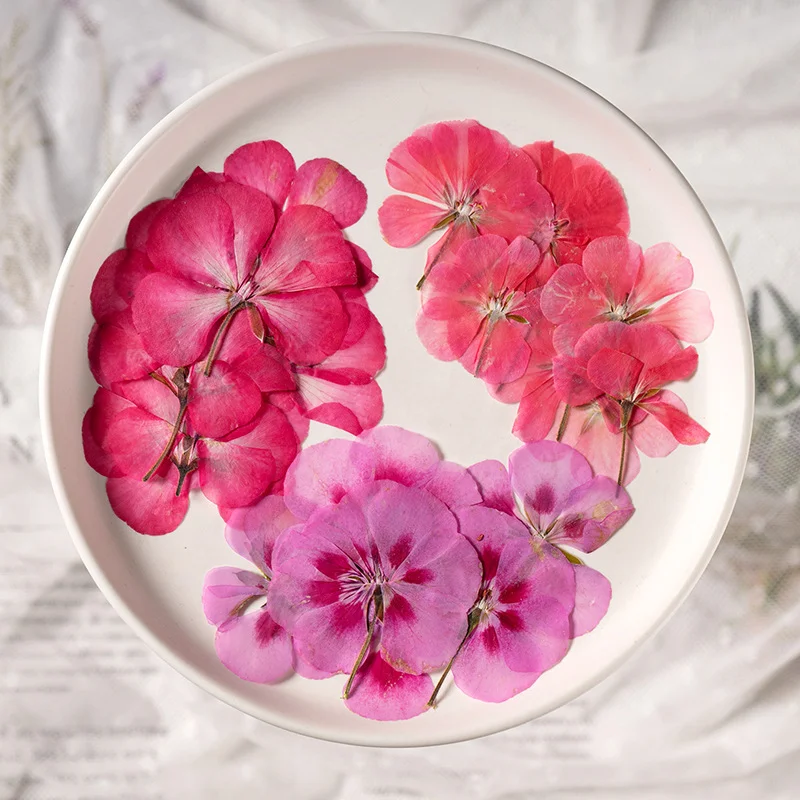 

Geranium Dried Flowers Pressed Flowers DIY Pressed Flower Bookmarks Resin Dried Flowers Phone Case Plant Specimens Dried Flower Materials 70Pcs