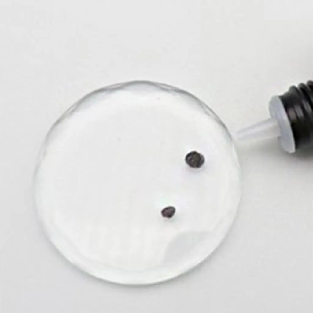 Cola para cílios 10ml adesivo transparente para cílios 2-3 segundos de secagem à prova d'água para uso em salão de beleza e maquiagem nude