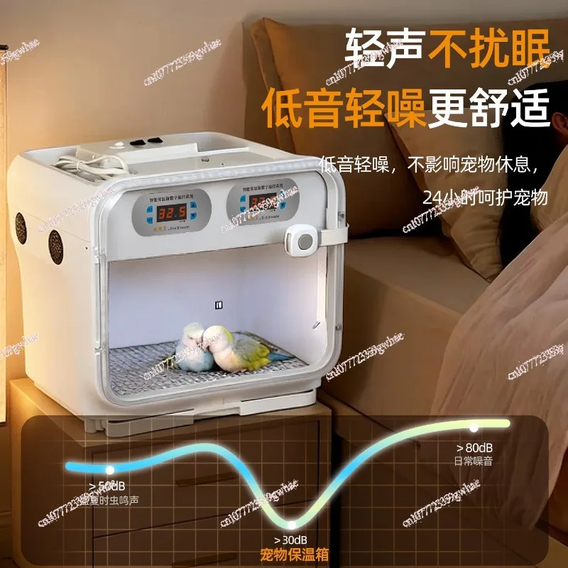Constant temperature winter air heating incubator for young birds