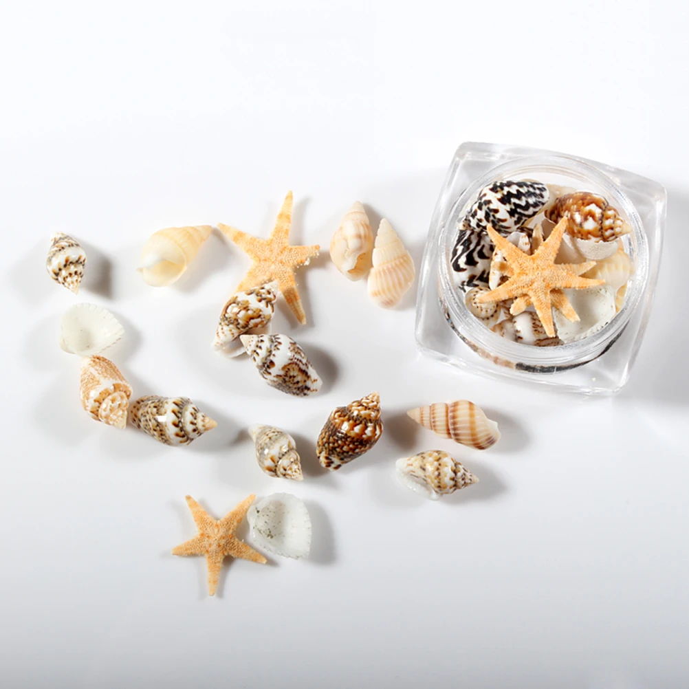 

1 Box Natural Ocean Style Mini Conch Shells Mixed Size DIY Nail Art Decoration 3D Manicure Nail Ornament Gems Accessories