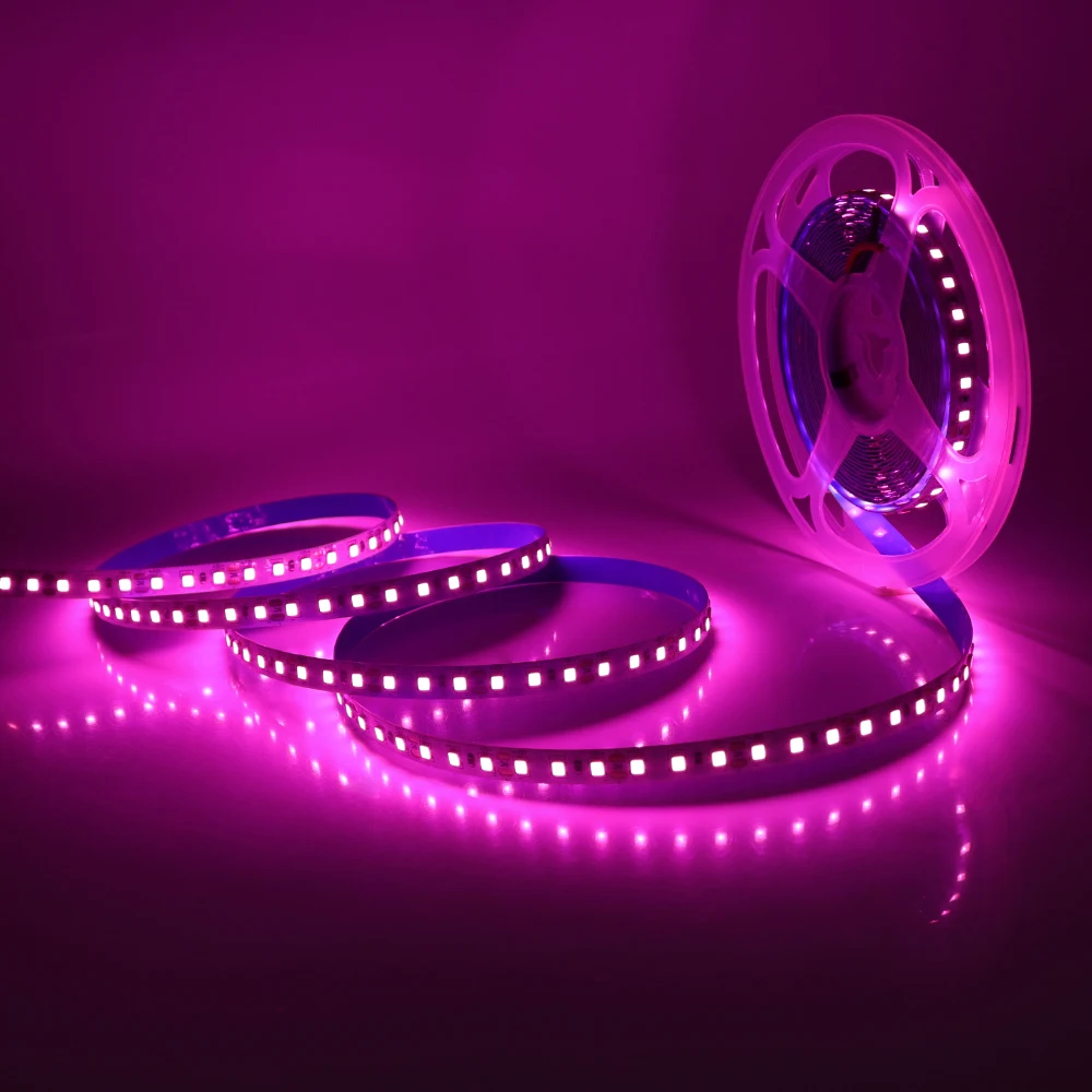 12V 24V 5m 10m 20m 50m 100m LED Strip Light 2835 120 LEDs Flexible Tape Bright 8mm PCB 13 Colors Home Decoration Not Waterproof