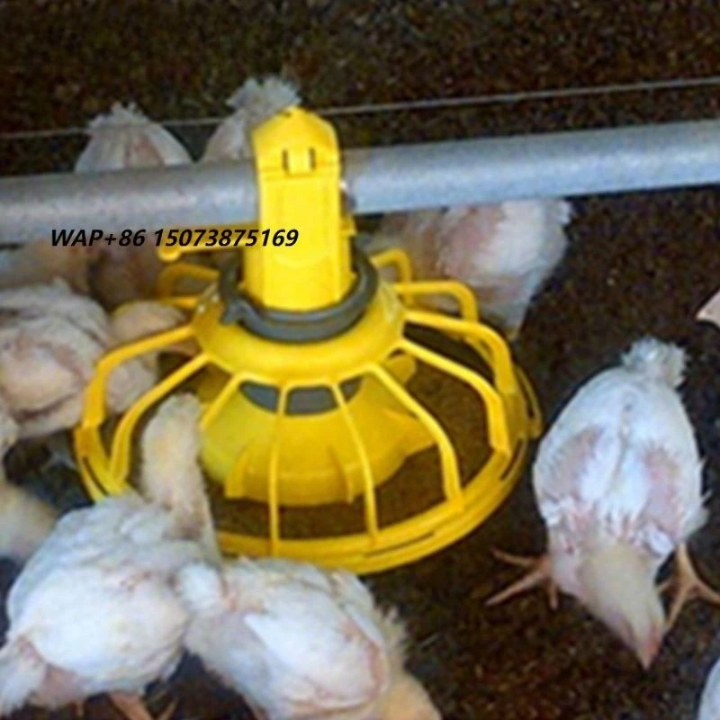China Supplier Automatic Poultry Equipment Broiler Pan Feeder