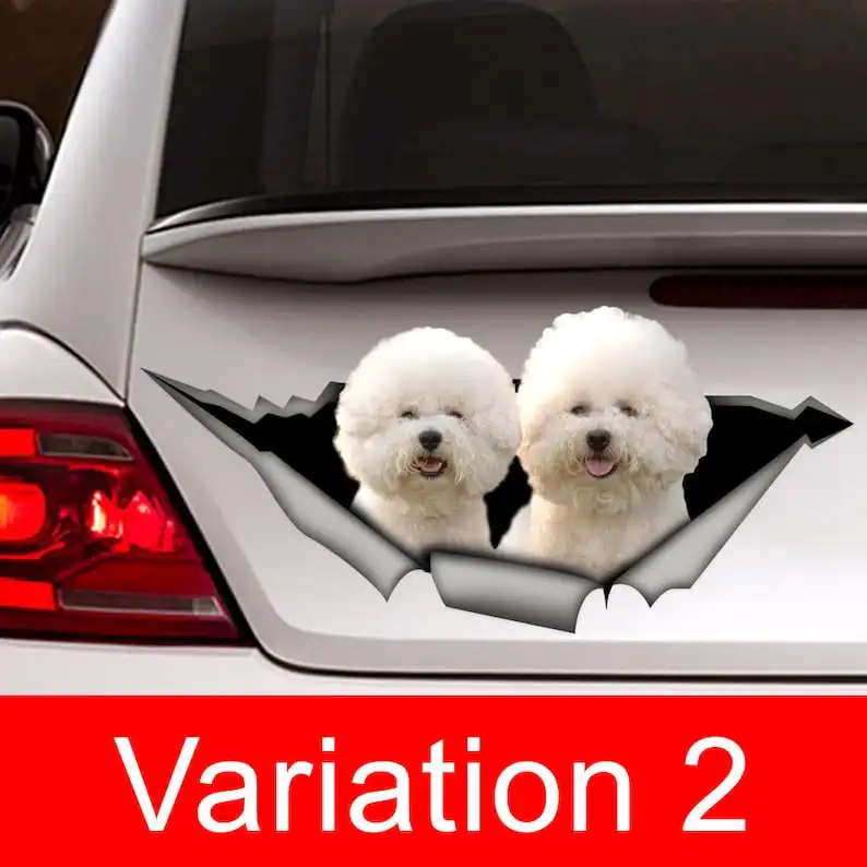 Bichon frise car Decal, Bichon frise sticker ,pet Decal, dog decal, Car sticker, funny sticker, Laptop sticker