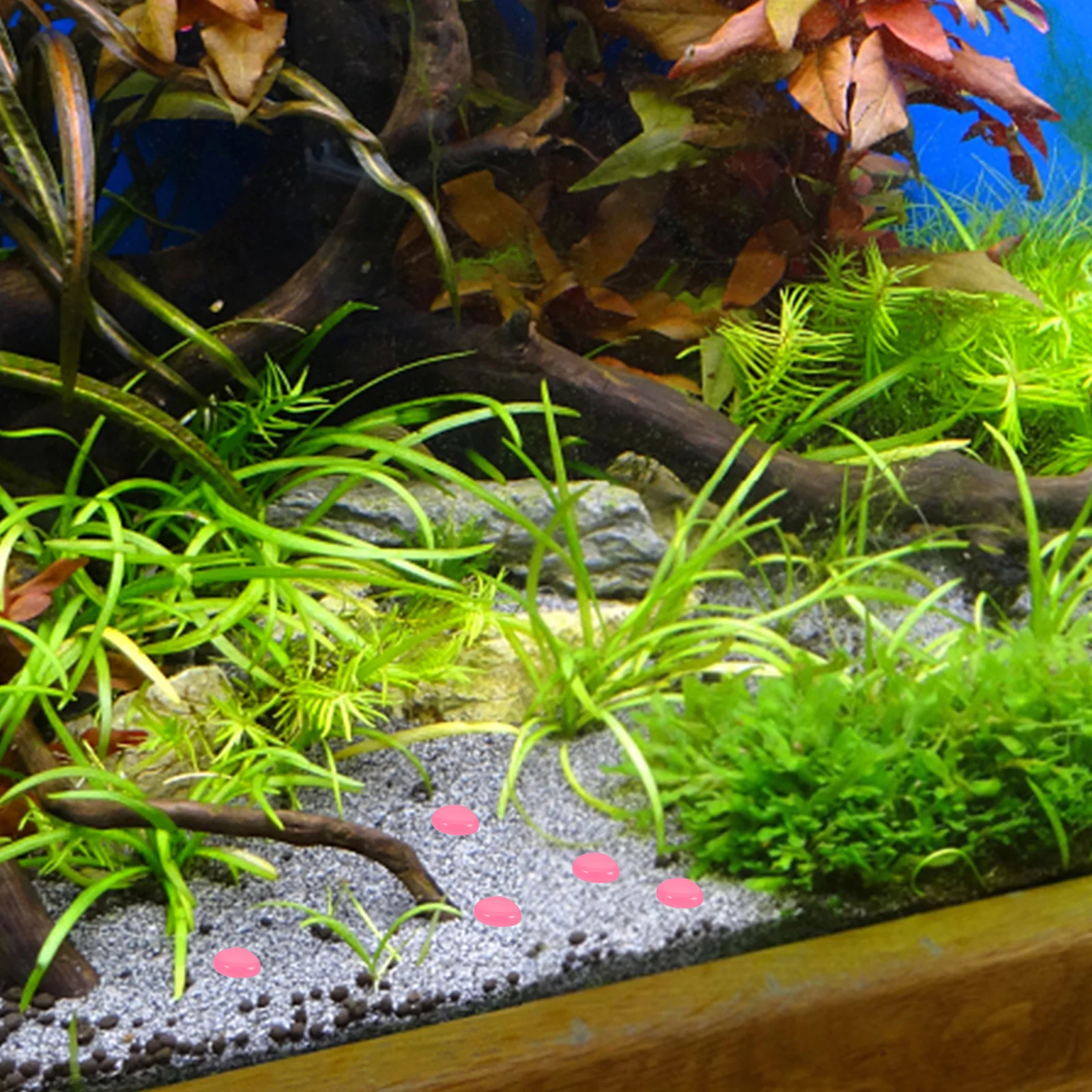 

100pcs Night Glow Decorative Stones For Aquarium Fish Tank Gravel Multi-Function Pond Garden Decoration Glow In The Dark Rocks