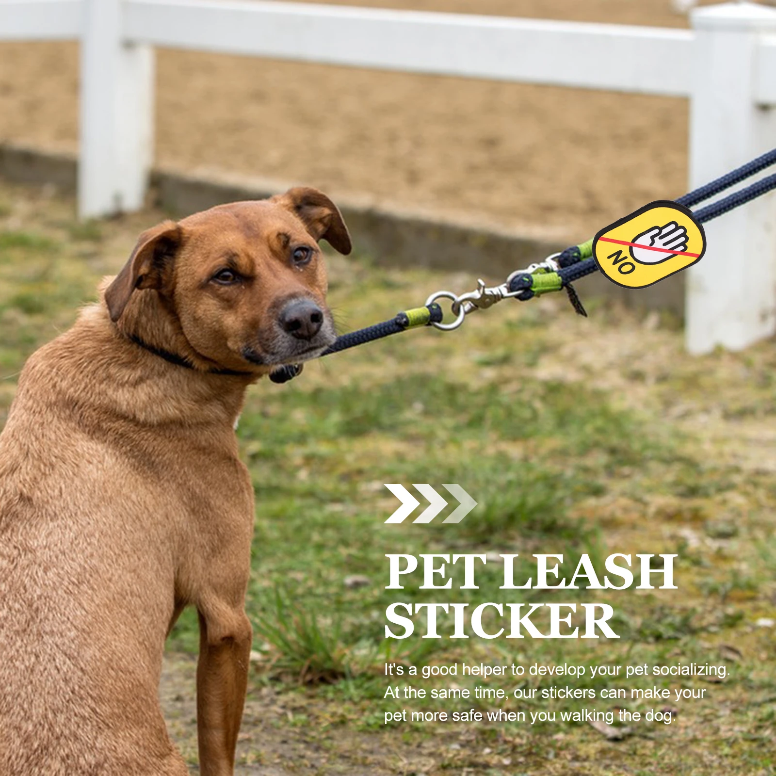 Tips Leash Decal Puppy Tag Telescopic Reminder Sticker Pet Socialization Aid