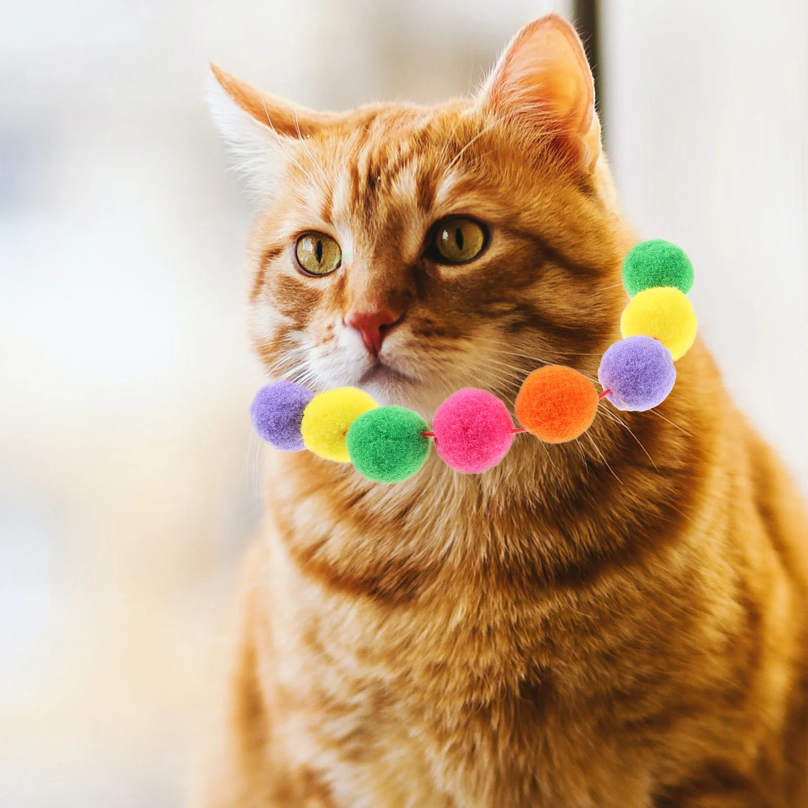 

2 Pcs Rainbow Cat Collars Lightweight Elastic Adjustable Kitten Necklace Colorful Pet Dog Collar XS SizeRed Outdoor Parties