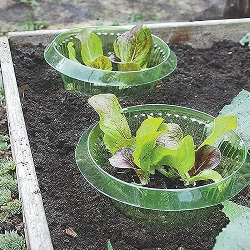 

Vegetables Plant Snail Collar Plants Slug Protection Vegetables Cover Reusable Transparent Bell Jar Cloches Garden Supplies