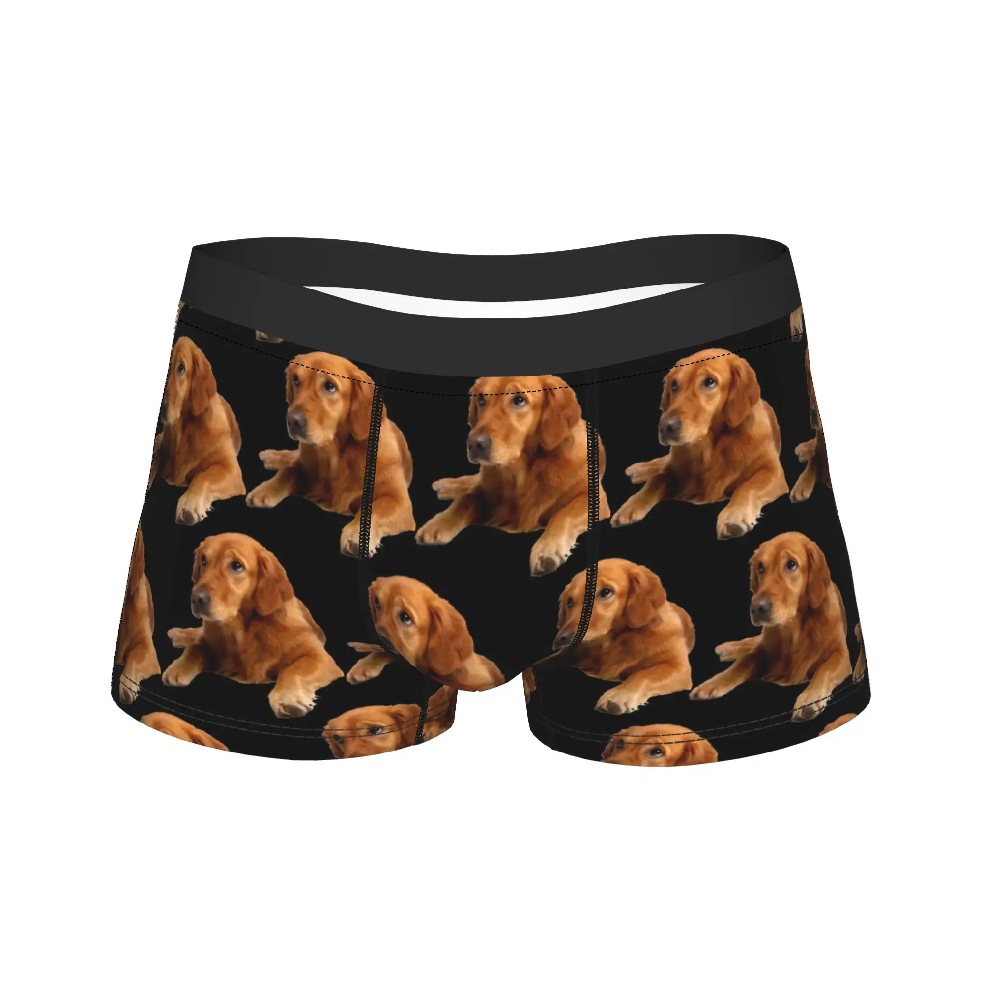 Golden Retriever Lying Down Trunk  3D Pouch Underwear Hot Sale Custom Shorts Briefs Sexy Soft Man Panties Plus Size 2XL