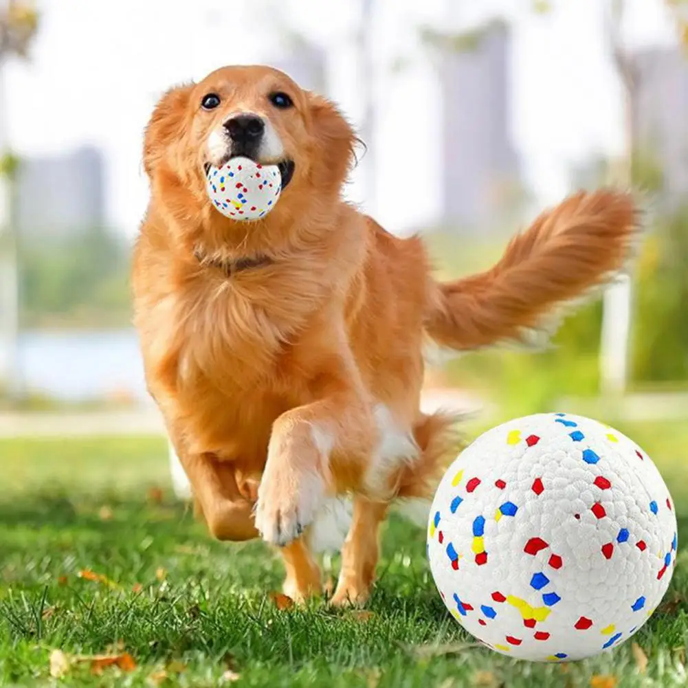 Pet Toy Bite-resistant Interactive Dog Ball Toy High Elastic Teeth Grinding Dog Training Ball Pet Supplies