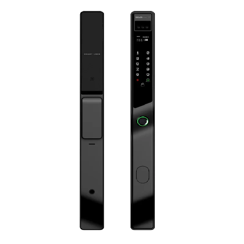 IP65 Waterproof Aluminum Door Outdoor WiFi Fingerprint 3D Face Cloud Camera Automatic Gate Villa Smart Door