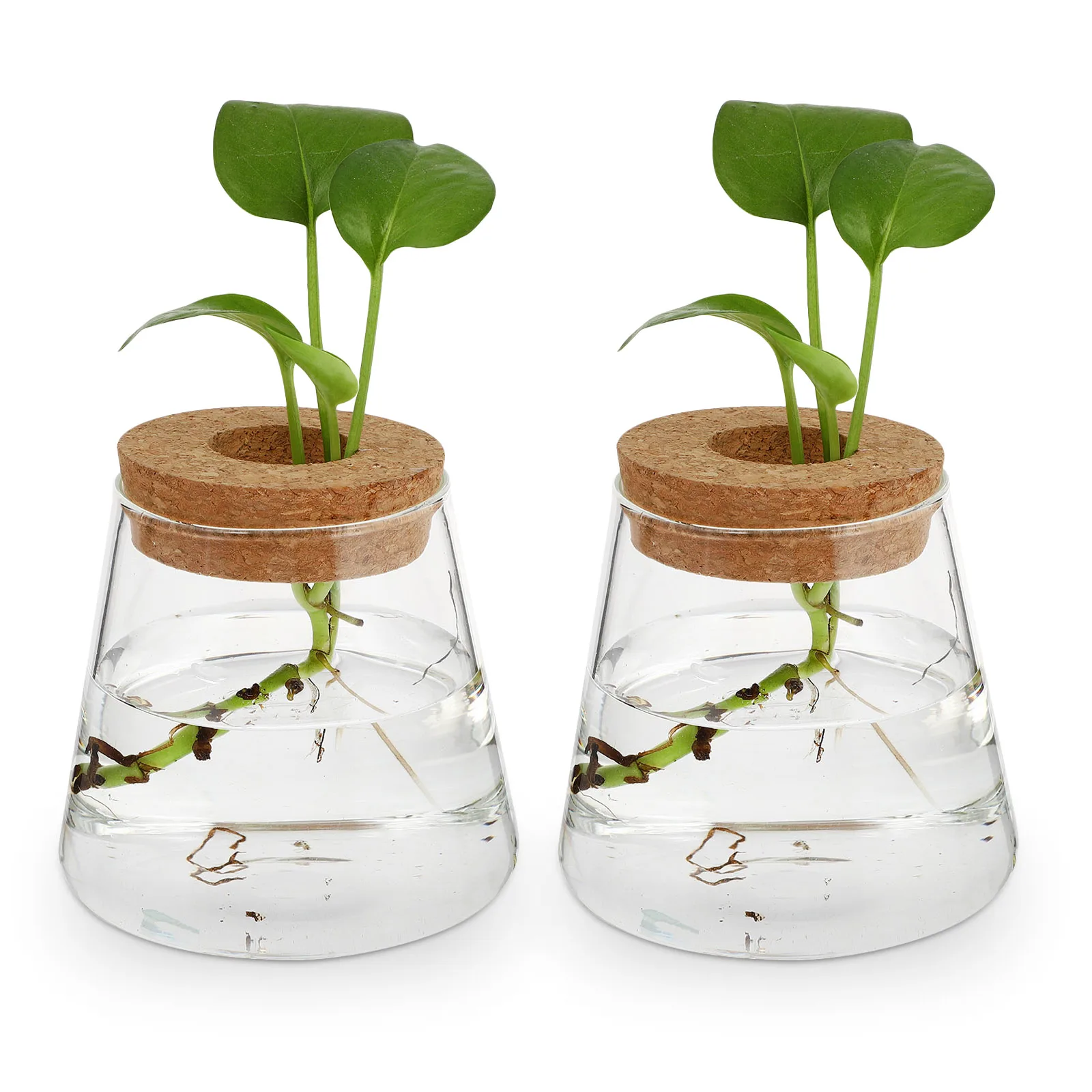 

2 Pcs Glass Eco Bottle Vase Hydroponic Plants Jar Flower Pots Home Decor Terrarium Desktop Plant Container Smooth Wood