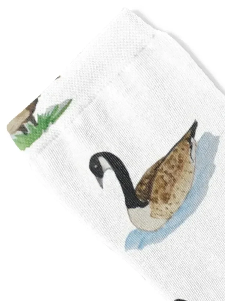 Canadian geese Socks sports and leisure aesthetic Socks Woman Men's