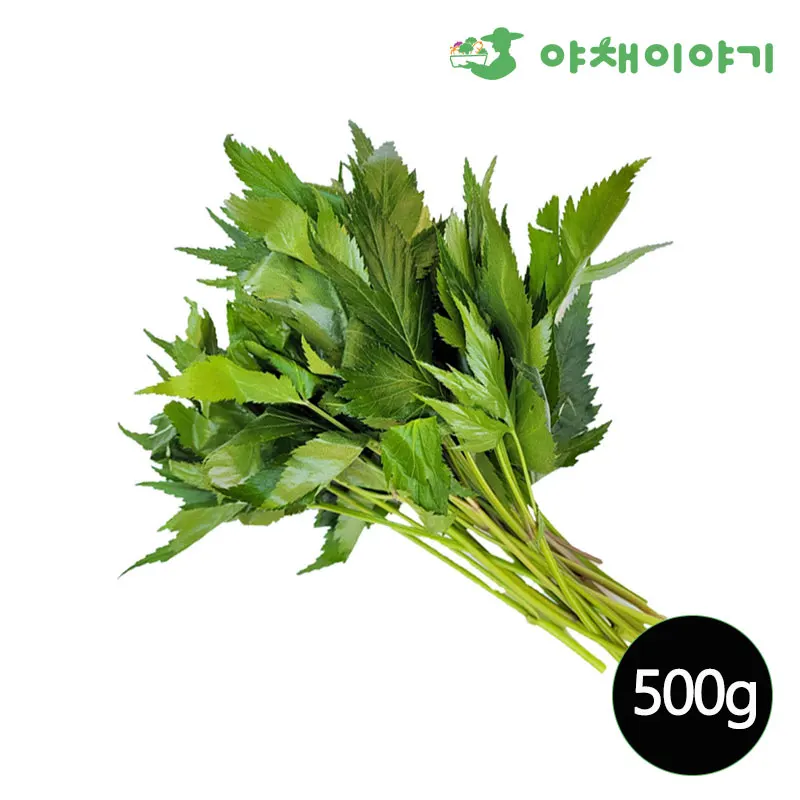 Vegetal Story Angelica Hojas 500g Surtido de Verduras Especializadas Vegetales Stir-Fry