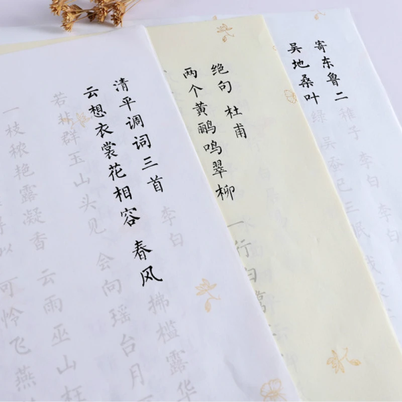 

Copybook Colorful Pastel Xuan Paper Brush Copybook Chinese Small Regular Script Brush Calligraphy Copybook Practice for Beginner