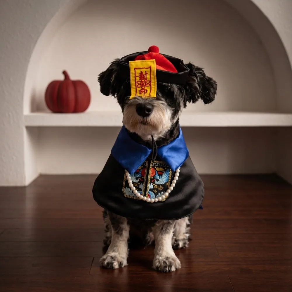 Pet Supplies Cute Halloween Dog Clothes Creative Decorative Pet Costume Funny 3 Sizes Pet Zombie Clothes Halloween