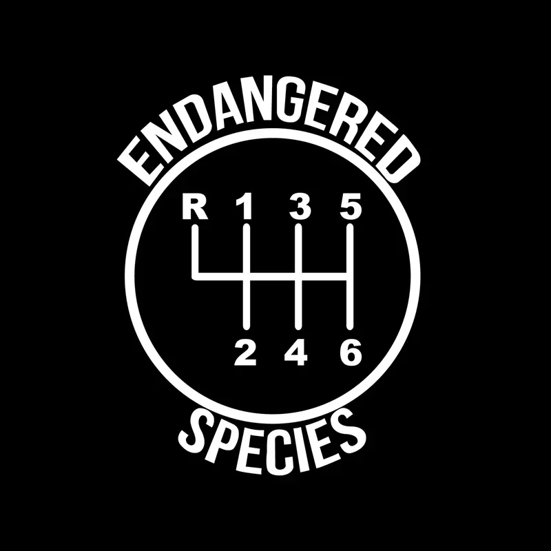 Funny 6 Speed Gear Endangered Species Car Sticker Decor Stick Shift Pattern Mural Art Vinyl Decals for Toyota Honda Vw view 2