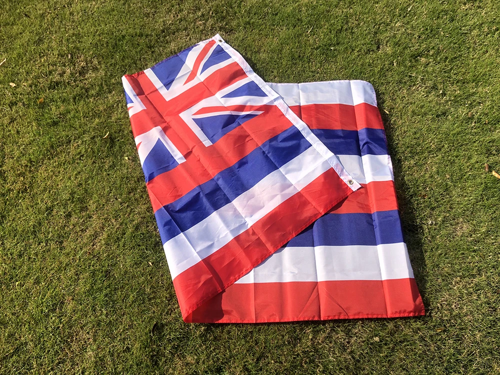 SKY Bandera hawaiana de poliéster para colgar, banderín país - imagen 2