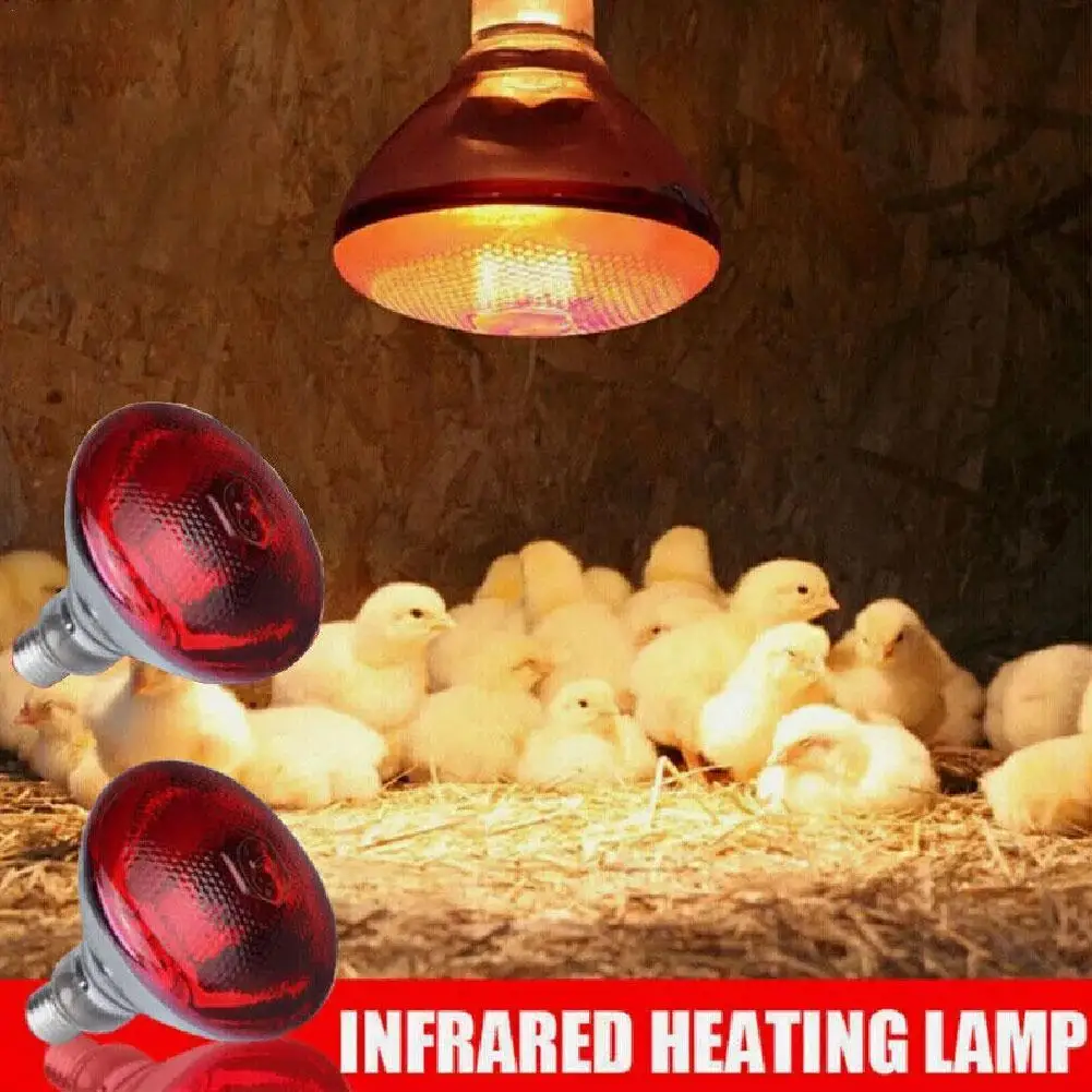 Red Heat Bulb Lamp For Poultry Farming Animal Husbandry Greenhouse Growing High Temperature Residual Reptile Bulb UV Light