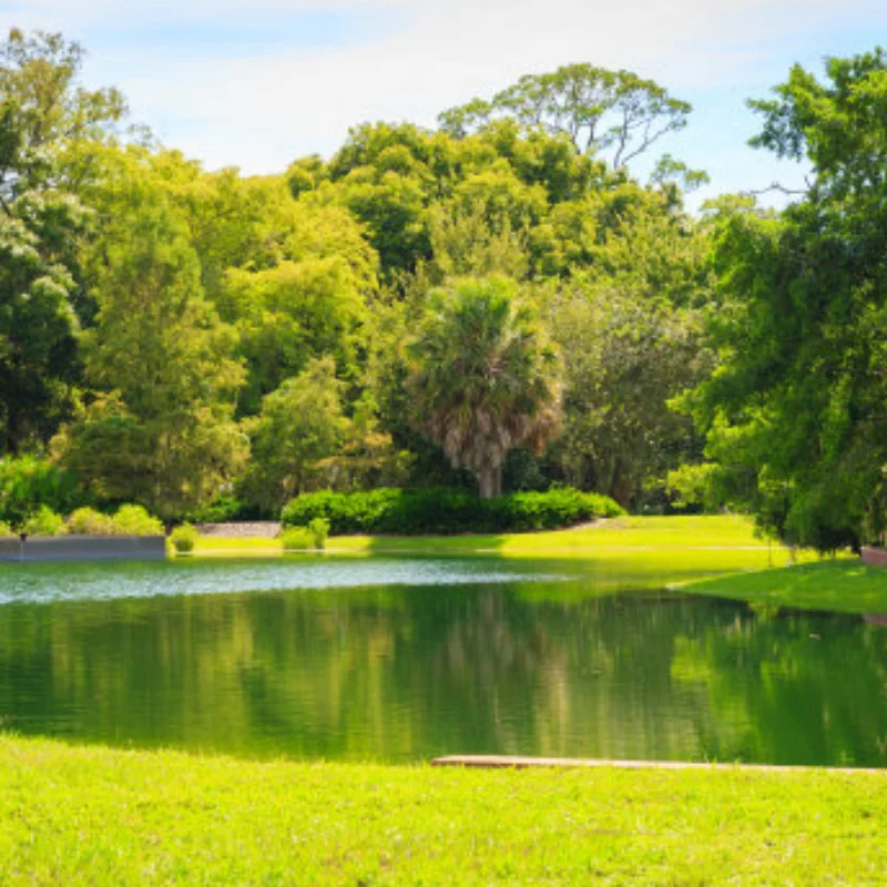 

75 мм 5 мм шестигранные резиновые колеса MN99S для MN98 MN82, WPL C24-1 B36 D12 C64 D74-1, обновление внедорожного автомобиля, высокопроизводительная радиоуправляемая шина