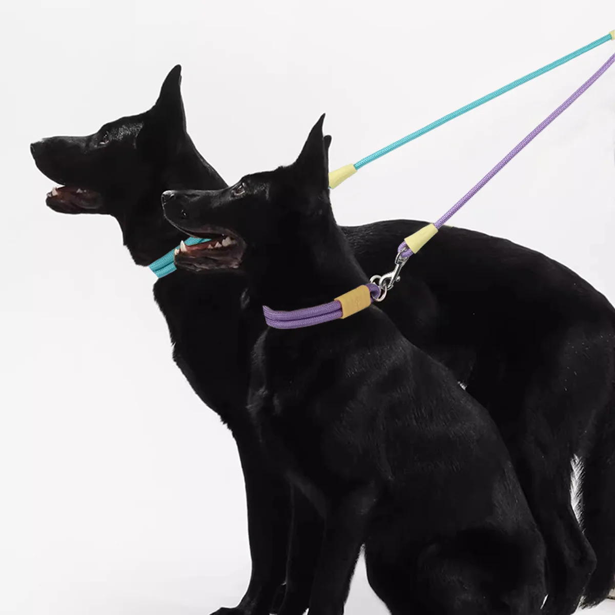 Double Dog Leash, 360° Swivel No Tangle 2 Dog Lead Splitter, Multi-color Nylon Rope with Alloy Hook for Pet Walking