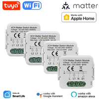 1/4 Gang Matter WIFI Smart Switch Module Automation Relay Smart Breaker Voice Control Apple Home Siri Alexa Google smarttings