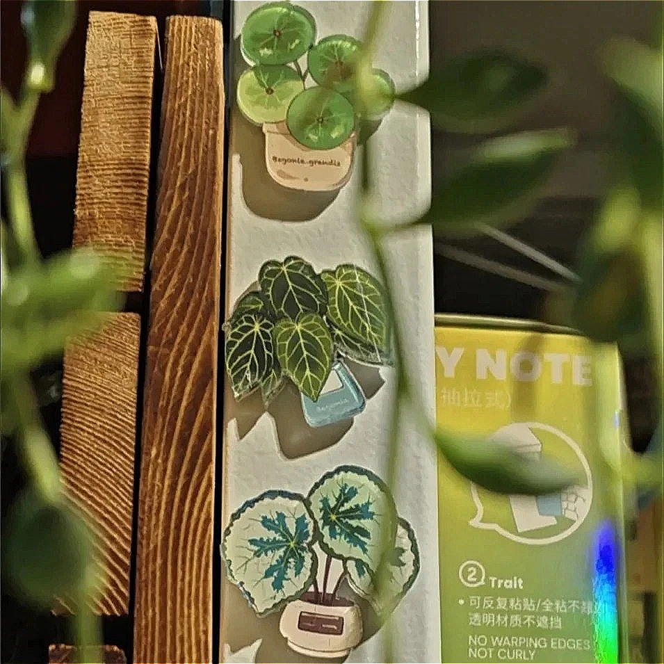 12pcs Begonia Staghorn Fern Magnetic Refrigerator Magnets Home Decor for Tropical Plants Plant Shelves Pegboard Whiteboard