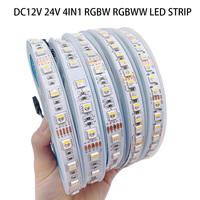 DC12V 24V RGBW RGBWW LED Light Strip 4color in 1led chip 5M 300Led Flexible Led Tape Lights 5050 5PIN Waterproof Room Décoration