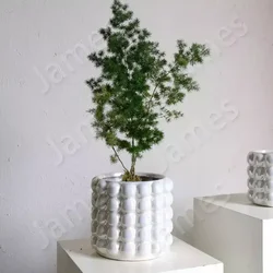 Vase Nordic Style Vases Personalized Ceramic Flower Pot Simple Solid Color Vase Ceramic Vases Living Room Decor Flower Jar Box